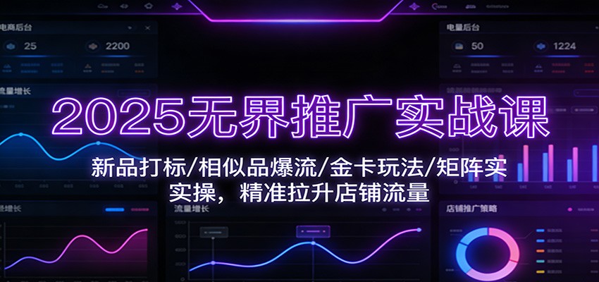 2025无界推广实战课:新品打标/相似品爆流/金卡玩法/矩阵实操,精准拉升店铺流量